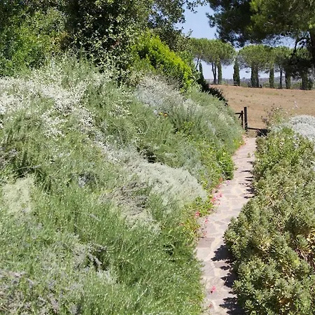 Nyaraló Sweet Tuscany For 6 To 8 People Near The Sea Capalbio